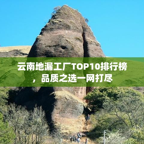 云南地漏工厂TOP10排行榜,品质之选一网打尽