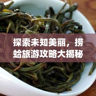 探索未知美丽,捞蛤旅游攻略大揭秘!