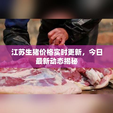 江苏生猪价格实时更新，今日最新动态揭秘