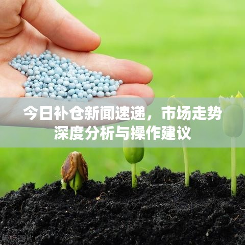 今日补仓新闻速递，市场走势深度分析与操作建议