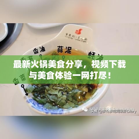 最新火锅美食分享,视频下载与美食体验一网打尽!
