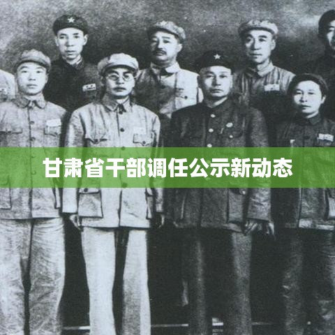 甘肃省干部调任公示新动态
