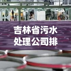 吉林省污水处理公司排名揭晓,行业影响力榜单重磅出炉!