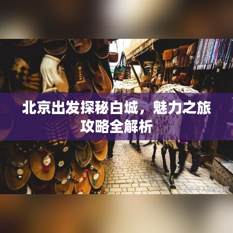 北京出发探秘白城，魅力之旅攻略全解析