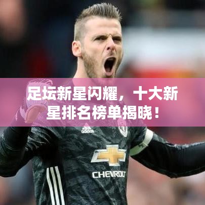 足坛新星闪耀,十大新星排名榜单揭晓!