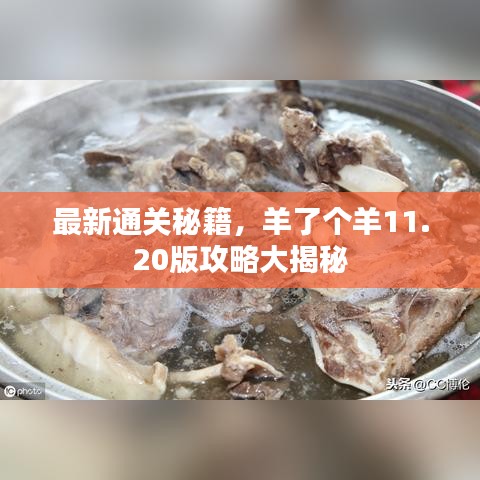 最新通关秘籍,羊了个羊11.20版攻略大揭秘