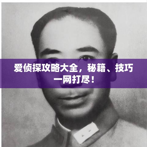 爱侦探攻略大全,秘籍、技巧一网打尽!