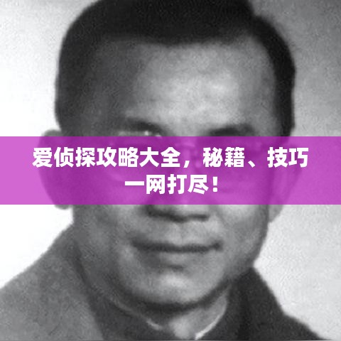 爱侦探攻略大全,秘籍、技巧一网打尽!