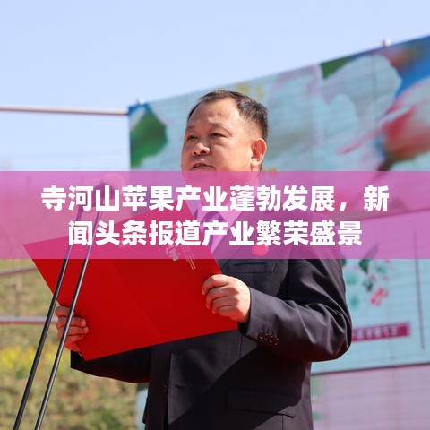 寺河山苹果产业蓬勃发展,新闻头条报道产业繁荣盛景