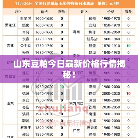 山东豆粕今日最新价格行情揭秘！