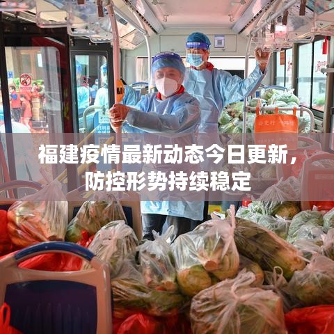 福建疫情最新动态今日更新,防控形势持续稳定