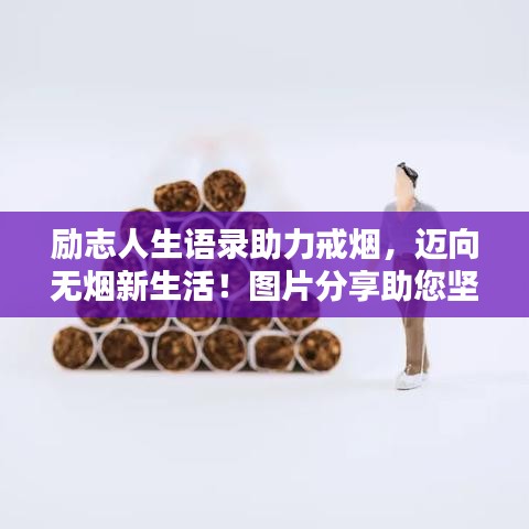 志在四方 第4页