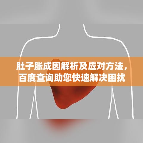 肚子胀成因解析及应对方法,百度查询助您快速解决困扰