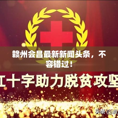 赣州会昌最新新闻头条，不容错过！