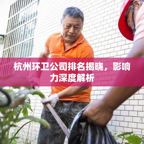 杭州环卫公司排名揭晓,影响力深度解析