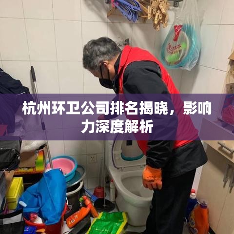 杭州环卫公司排名揭晓,影响力深度解析