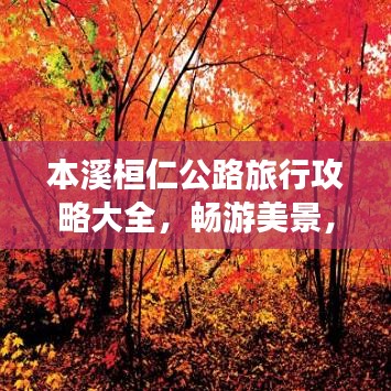本溪桓仁公路旅行攻略大全，畅游美景，尽享旅途乐趣！