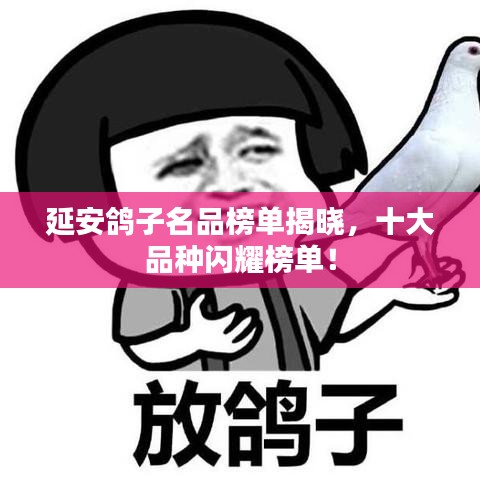 延安鸽子名品榜单揭晓，十大品种闪耀榜单！