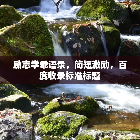 励志学乖语录,简短激励,百度收录标准标题