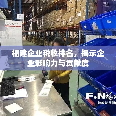 福建企业税收排名，揭示企业影响力与贡献度
