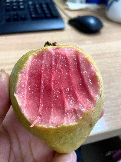 草莓官方下载芭乐,精细化评估解析|Harmony款_v1.793