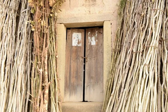 柴扉官方下载,深入执行方案设计 soft_v2.364