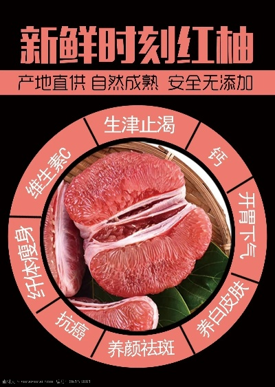 红柚老版本,稳定设计解析_2D_v5.394