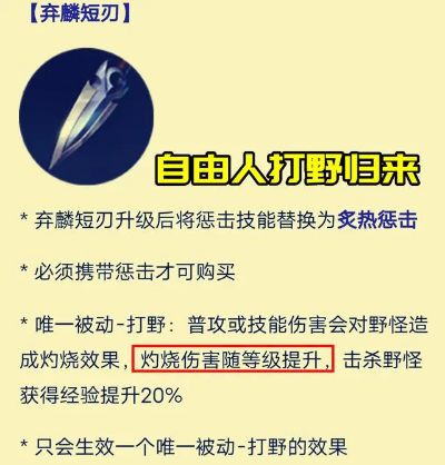 新版本野刀bug,安全设计策略解析_FHD版_v1.331