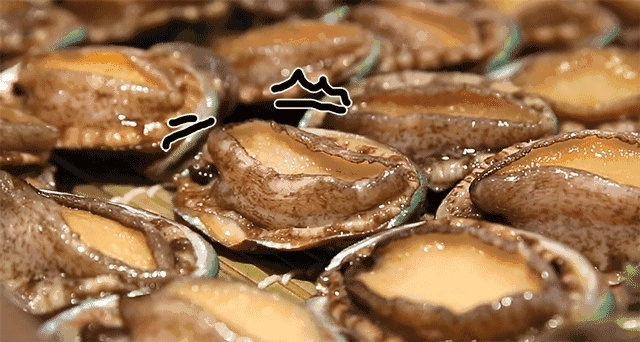 鲍鱼官方下载,快捷解决方案问题_动态版_v3.701