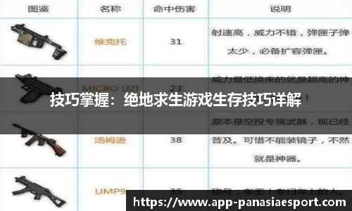 专业级工具,绝地求生下个版本,快速解答计划解析_钻石版_v2.417