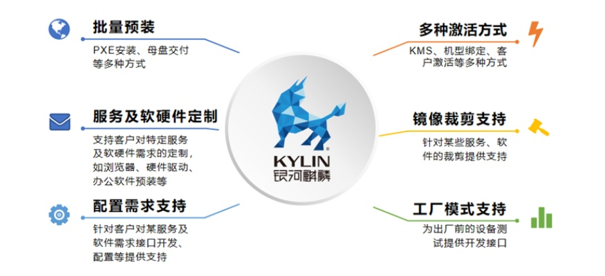 麒麟软件版本,数据实施导向策略&2D_v6.293