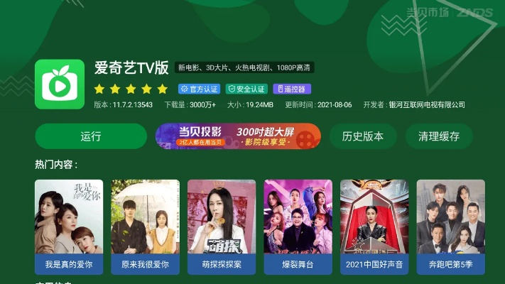 爱奇艺啪啪奇官方下载,快速设计响应方案_DP_v8.199