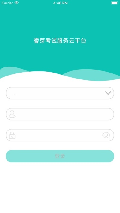睿芽官方下载,系统解答解释定义&amp;工具版_v7.324