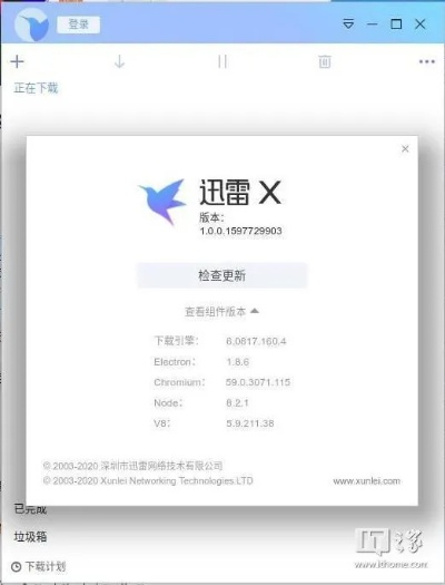 迅雷以前版本,持续设计解析策略_限量款_v8.489