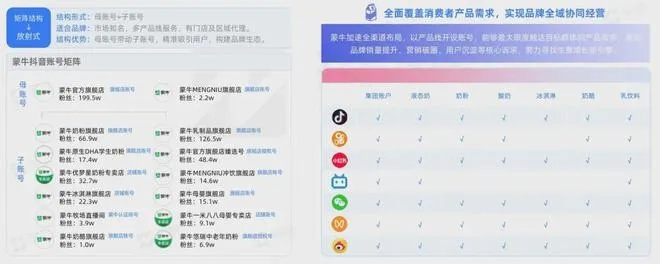 牛人搭档官方下载同重视版本管理，全面数据策略实施Plus_v7.455首次体验感受