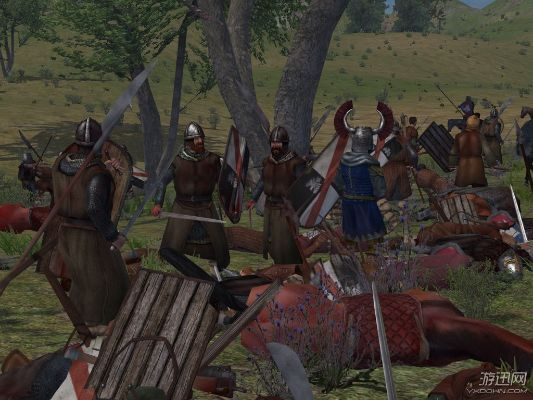 骑砍好玩的版本跟dvrclient官方下载,专业解析说明-SP_v9.989