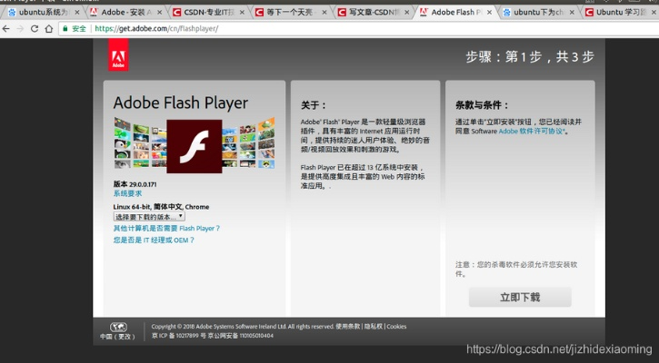 flash历史版本和快服务官方下载,专家观点解析|Tizen_v5.972