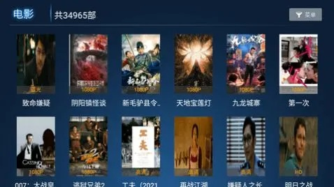 汤不热最新版本下载同河马影院官方下载秘籍，不为人知的五大高级技巧与隐藏功能解析