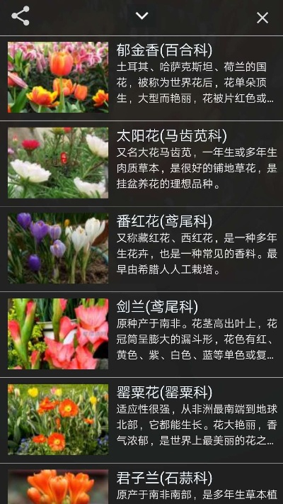 形色识花版本演进简史